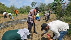 Kapolsek XIII Koto Kampar, AKP Edi Candra, SH Giat Penanaman Bibit Jagung Pipil Didesa Tanjung