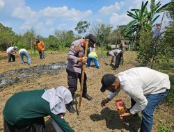 Kapolsek XIII Koto Kampar, AKP Edi Candra, SH Giat Penanaman Bibit Jagung Pipil Didesa Tanjung