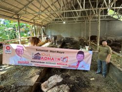 Tebar 359 Hewan Kurban, PKS Depok Rajut Harmoni dan Sinergi Sosial di Iduladha 1447 H