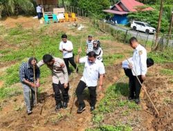 Aiptu Harisman Giat Penanaman Jagung Pipil Didesa Lubuk Agung