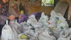 Kapolsek XIII Koto Kampar, AKP Edi Candra, SH Pastikan Hasil Panen Jagung Pipil Sampai ke Bulog