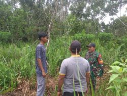 Intensifkan Patroli Karhutla Untuk Cegah Kebakaran Hutan