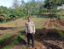 Aipda Gito Prasetyo,SH Pantau Lahan Untuk Ditanam Jagung Pipil Didesa Koto Tuo Barat
