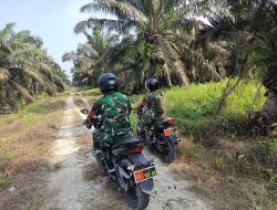 Babinsa Koramil 03/Bunut Gencarkan Patroli Cegah Karhutla di Desa Merbau