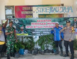 Jaga Kelestarian Sumber Air, Babinsa Koramil 13/Rokan IV Koto Bersama Tiga Pilar Tanam Pohon di Desa Sikebau Jaya