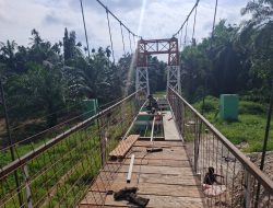 Perkuat Struktur Jembatan Muara Musu , Tim Lapangan Kebut Pengecoran Tiang Tambahan dan Pengecatan Wiremesh