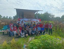 Kapolsek XIII Koto Kampar Panen Jagung Pipil Musim Tanam Tahap Ke II Didesa Koto Tuo