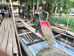 Sulitnya Medan, Satgas TMMD Ke-129 Kodim 0313/Kpr Langsir Material Kerikil Lewat Jalur Air ke Pangkalan Terap