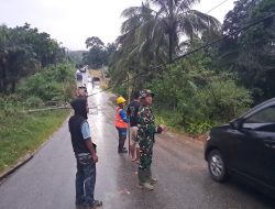 Babinsa Bersama Warga dan PLN Gotong -Royong Evakuasi Tiang Listrik Tumbang di Rokan Timur