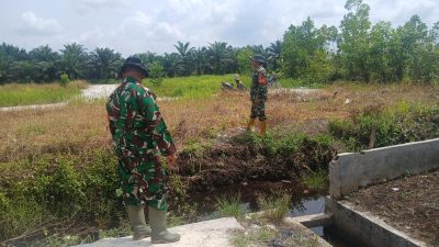 Babinsa Koramil 07/Kampar Kodim 0313/KPR Gencarkan Patroli Karhutla di Desa Rimbo Panjang