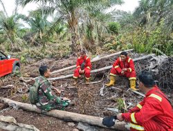 Babinsa Koramil 03/Bunut Perkuat Koordinasi Pencegahan Karhutla Bersama Tim Pemadam di Desa Sungai Buluh