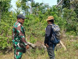 Babinsa Koramil 03/Bunut Perketat Patroli Karhutla di Desa Telayap