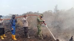 Pantang Surut Lawan Karhutla, Dandim 0313/KPR Terjun Langsung Padamkan Api di Rantau Baru