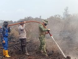 Pantang Surut Lawan Karhutla, Dandim 0313/KPR Terjun Langsung Padamkan Api di Rantau Baru
